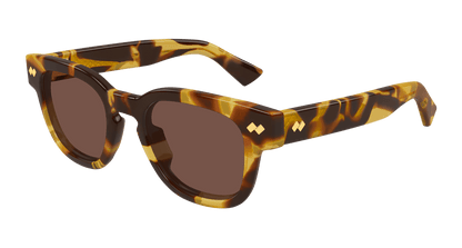Bottega Veneta BV1441S Havana 889652635590