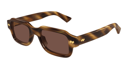 Bottega Veneta BV1442S Havana 889652637228
