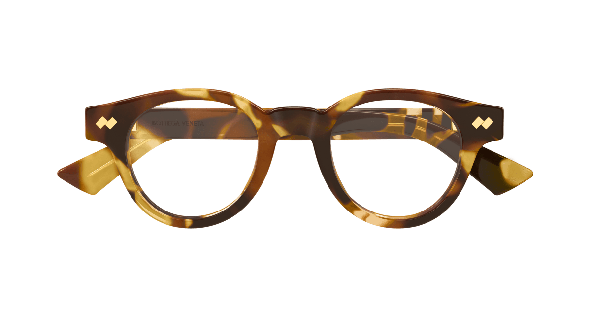 Bottega Veneta BV1443O Havana 889652635682