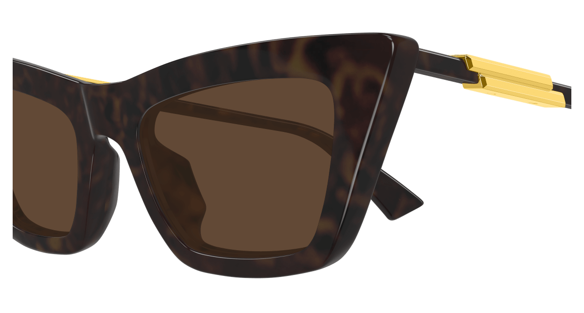Bottega Veneta BV1446S Havana 889652635804