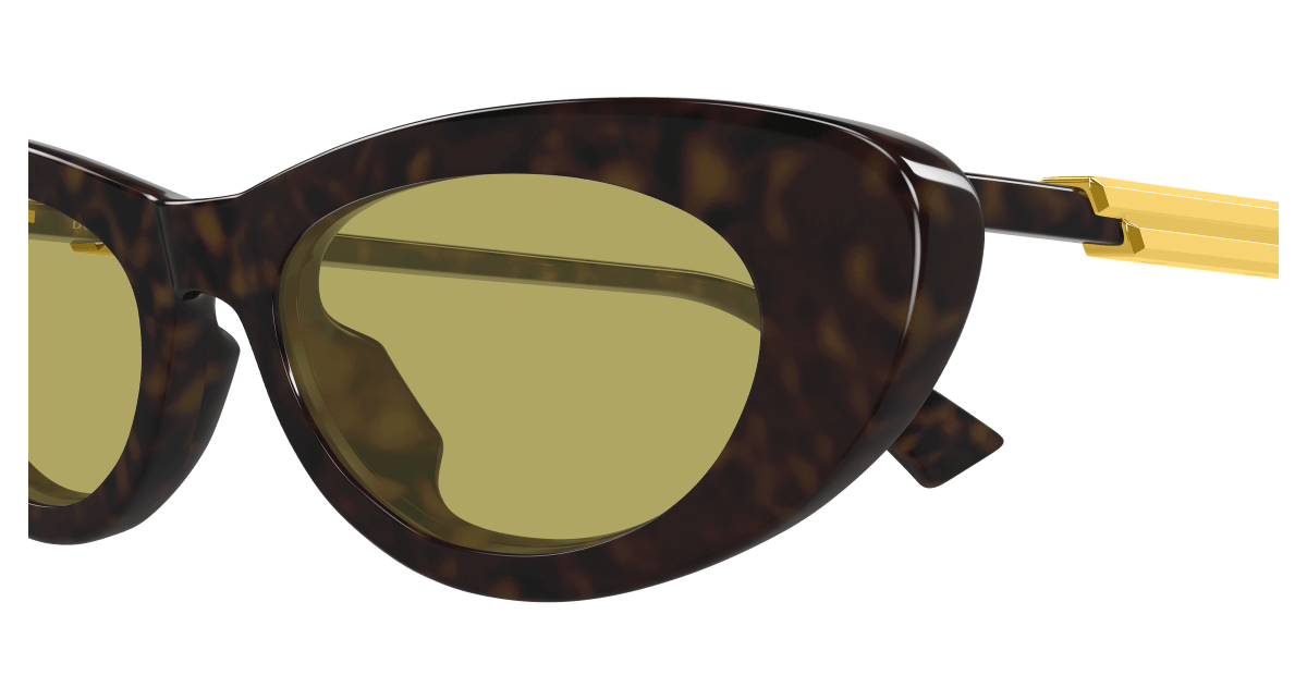 Bottega Veneta BV1447S Havana 889652635859