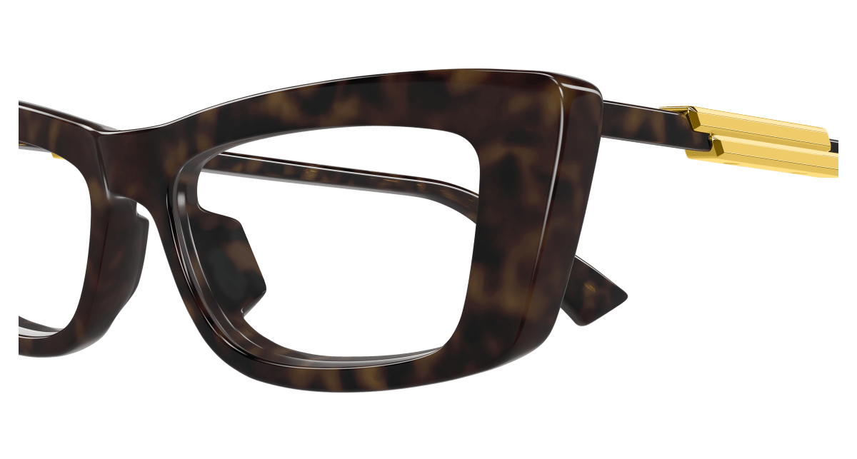 Bottega Veneta BV1449O Havana 889652637396
