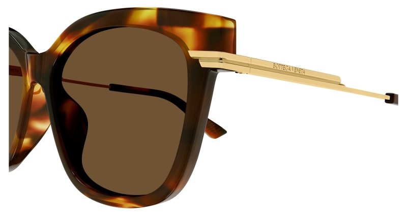 BV1296SA - HAVANA - Bottega Veneta - Bottega Veneta - HAVANA - Ardor Eyewear 889652486512