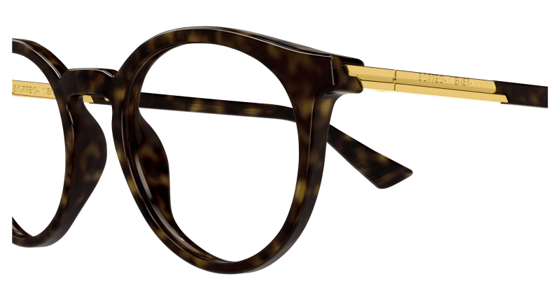 BV1335OA - HAVANA - Bottega Veneta - Bottega Veneta - HAVANA - Ardor Eyewear 889652513362