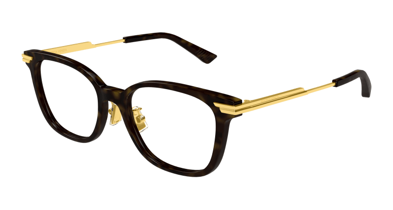 BV1338OJ - HAVANA - Bottega Veneta - Bottega Veneta - HAVANA - Ardor Eyewear 889652513584