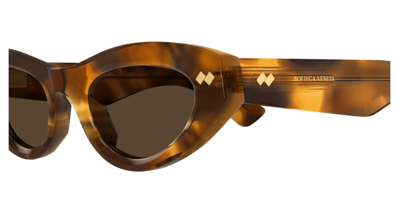 BV1350S - HAVANA - Bottega Veneta - Bottega Veneta - HAVANA - Ardor Eyewear 889652544915