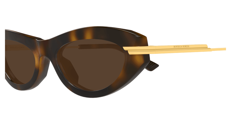 BV1368S - HAVANA - Bottega Veneta - Bottega Veneta - HAVANA - Ardor Eyewear 889652545844