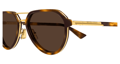 BV1373S - HAVANA - Bottega Veneta - Bottega Veneta - HAVANA - Ardor Eyewear 889652546063