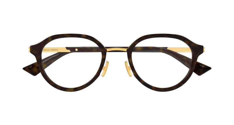 BV1375O - HAVANA - Bottega Veneta - Bottega Veneta - HAVANA - Ardor Eyewear 889652546186
