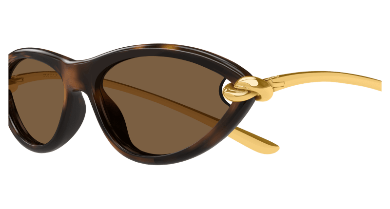 BV1390S - HAVANA - Bottega Veneta - Bottega Veneta - HAVANA - Ardor Eyewear 889652557939