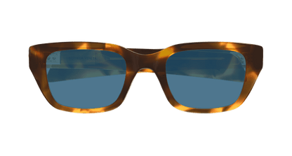 BV1393S - HAVANA - Bottega Veneta - Bottega Veneta - HAVANA - Ardor Eyewear 889652573694