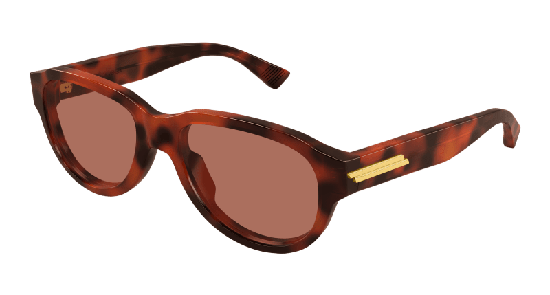 BV1410S - HAVANA - Bottega Veneta - Bottega Veneta - HAVANA - Ardor Eyewear 889652592794