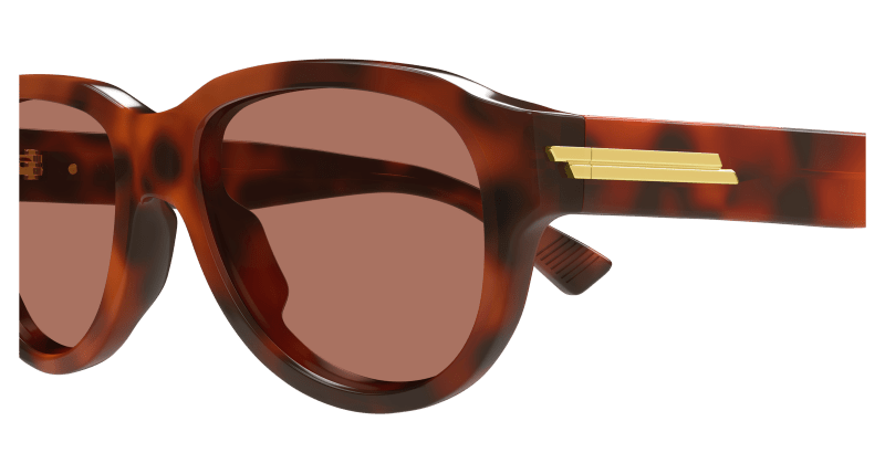 BV1410S - HAVANA - Bottega Veneta - Bottega Veneta - HAVANA - Ardor Eyewear 889652592794