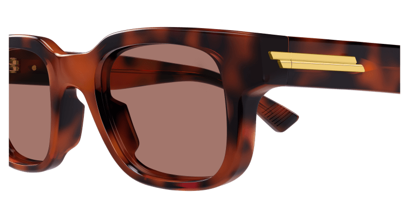 BV1411S - HAVANA - Bottega Veneta - Bottega Veneta - HAVANA - Ardor Eyewear 889652591155