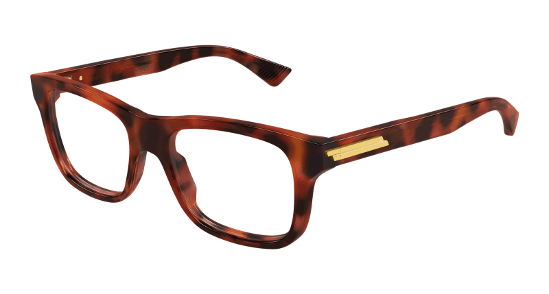 BV1412O - HAVANA - Bottega Veneta - Bottega Veneta - HAVANA - Ardor Eyewear 889652591230