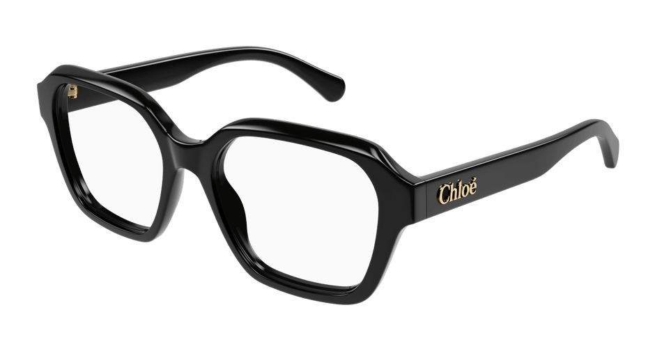 Chloé CH0272O 889652515328