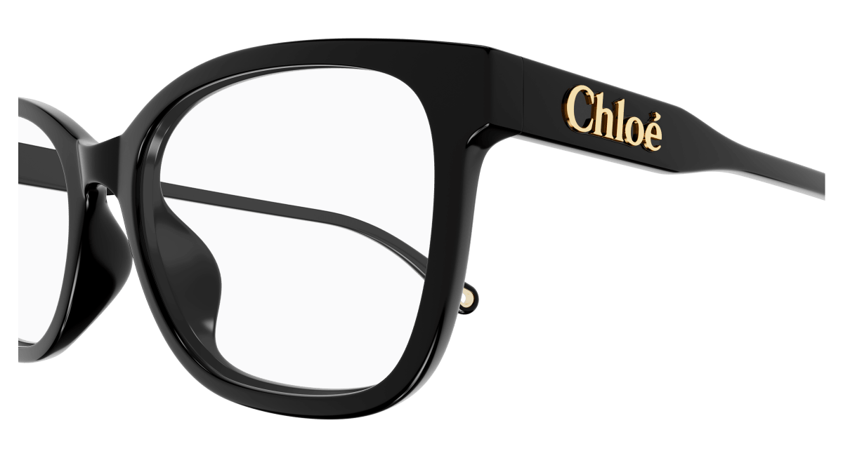Chloé CH0276OA 889652515496