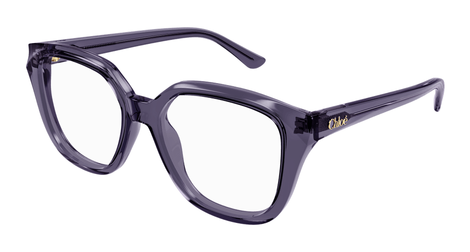 Chloé CH0293O 889652543802