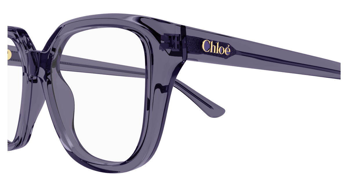 Chloé CH0293O 889652543802