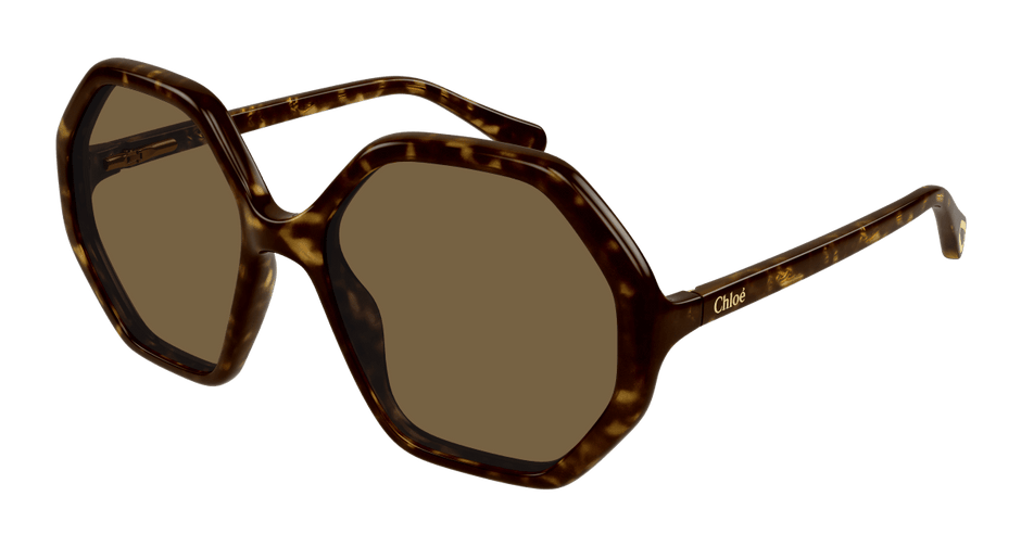 Chloé CC0004S Havana/Brown 889652488370