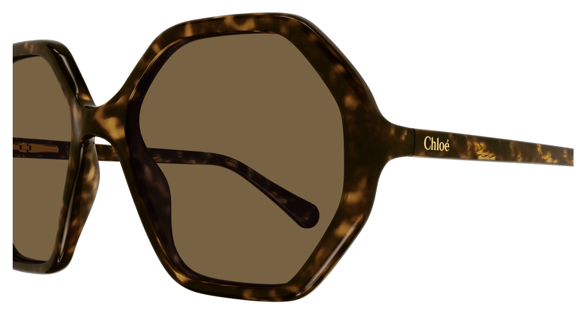 Chloé CC0004S Havana/Brown 889652488370