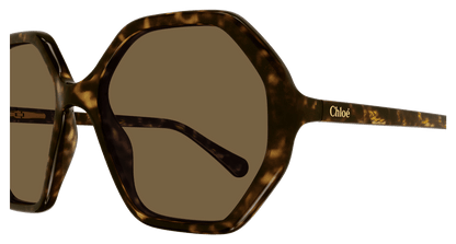 Chloé CC0004S Havana/Brown 889652488370