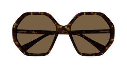 Chloé CC0004S Havana/Brown 889652488370