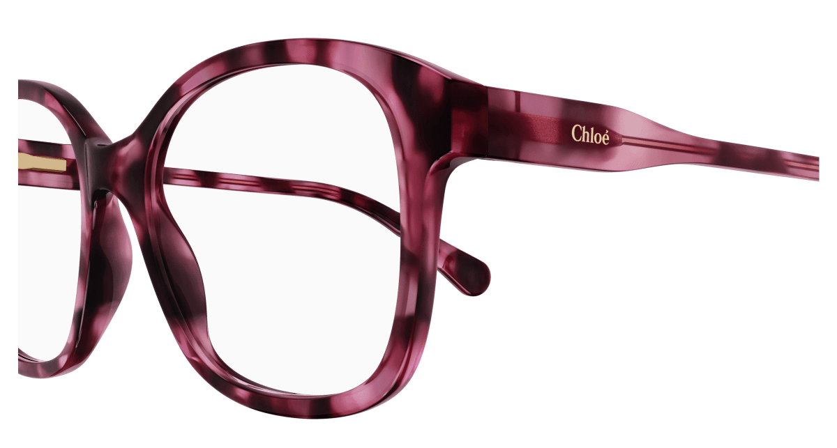 Chloé CC0013O Havana 889652451091