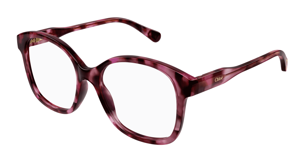Chloé CC0013O Havana 889652451091