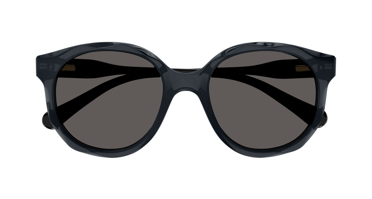 Chloe CC0019S Sunglasses 889652484662