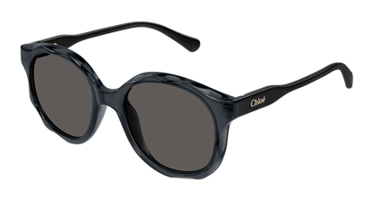 Chloe CC0019S Sunglasses 889652484662