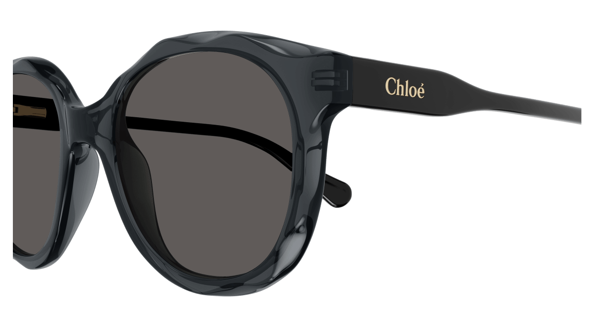 Chloé CC0019S Grey 889652484662