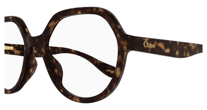 Chloé CC0020O Havana 889652485119