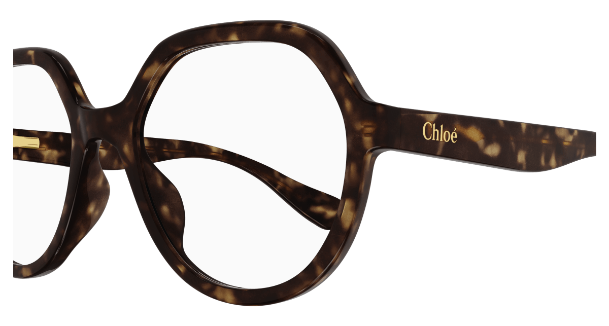 Chloé CC0020O Havana 889652485119