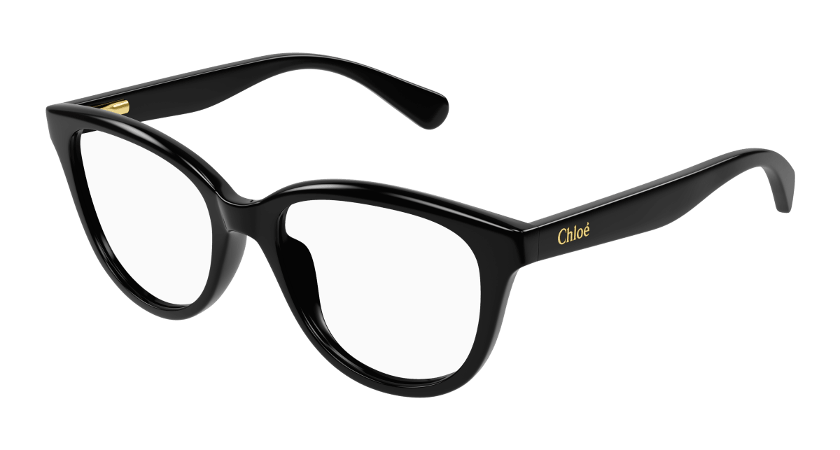 Chloé CC0021O Black 889652484716