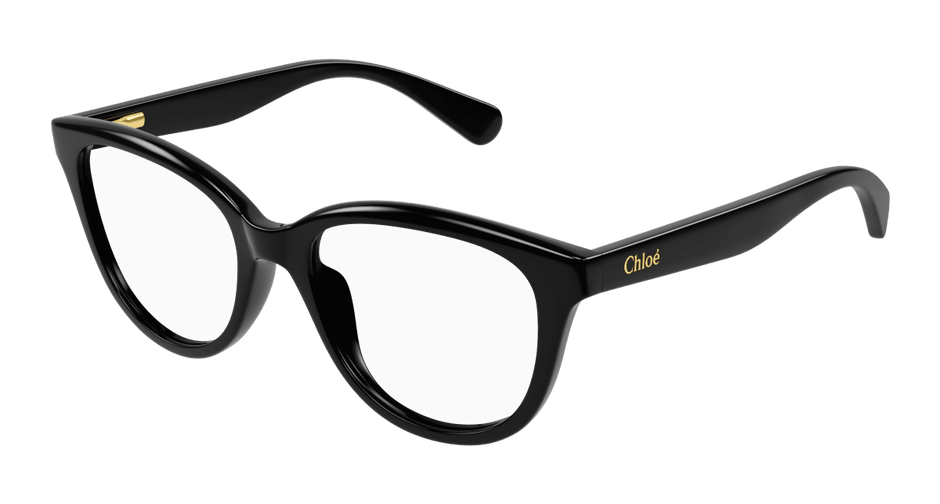 Chloé CC0021O Black 889652484716