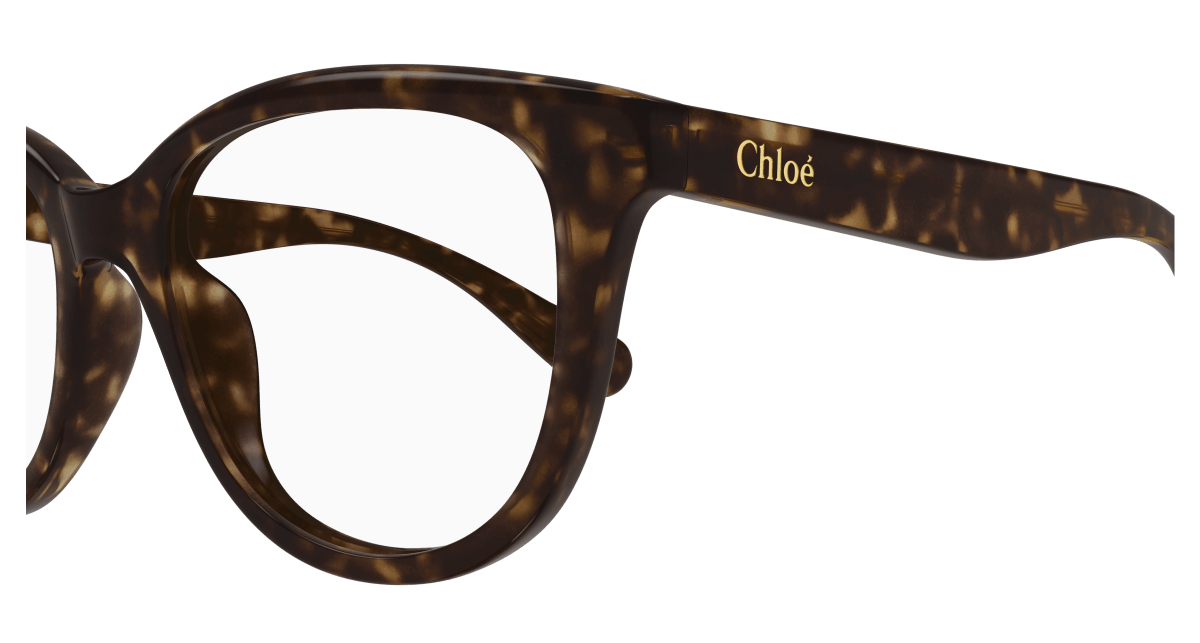 Chloé CC0021O Havana 889652484723