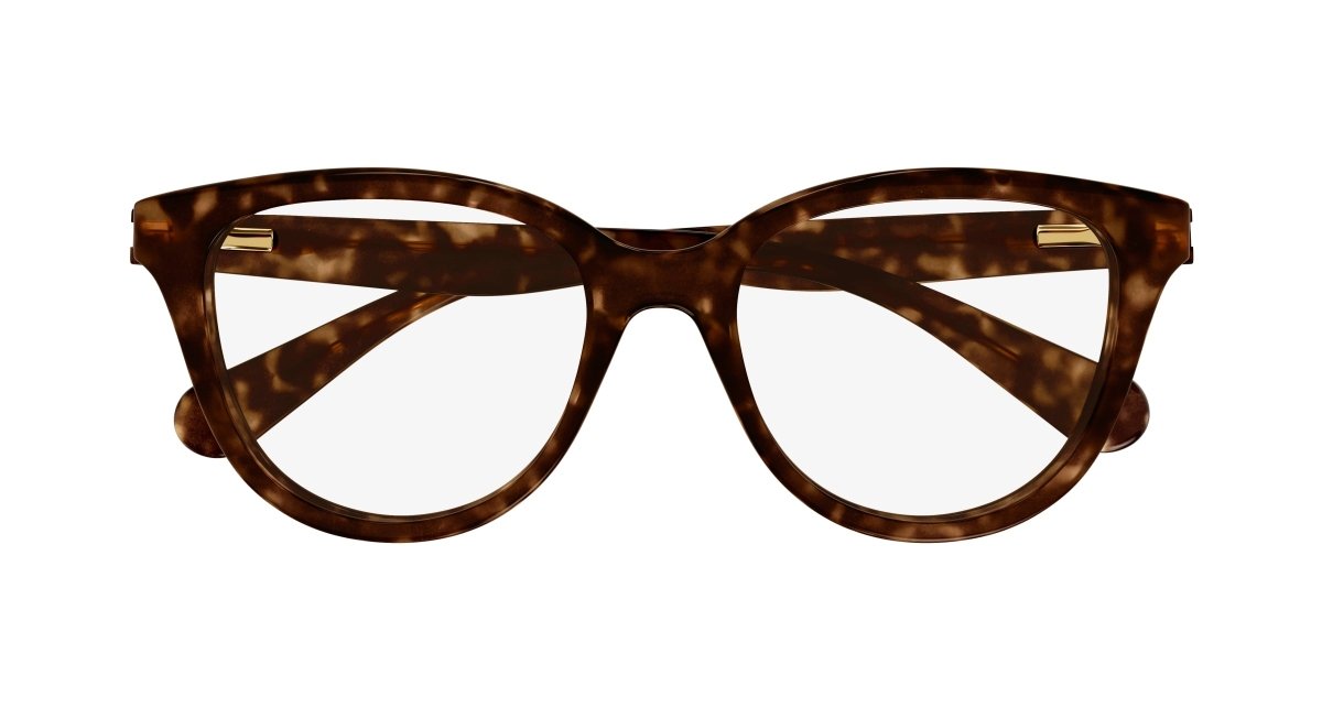 Chloe CC0021O Eyeglasses 889652484723