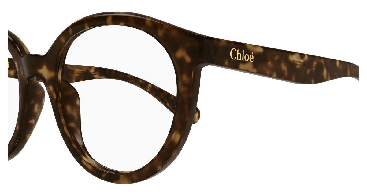 Chloé CC0022O Havana 889652484761