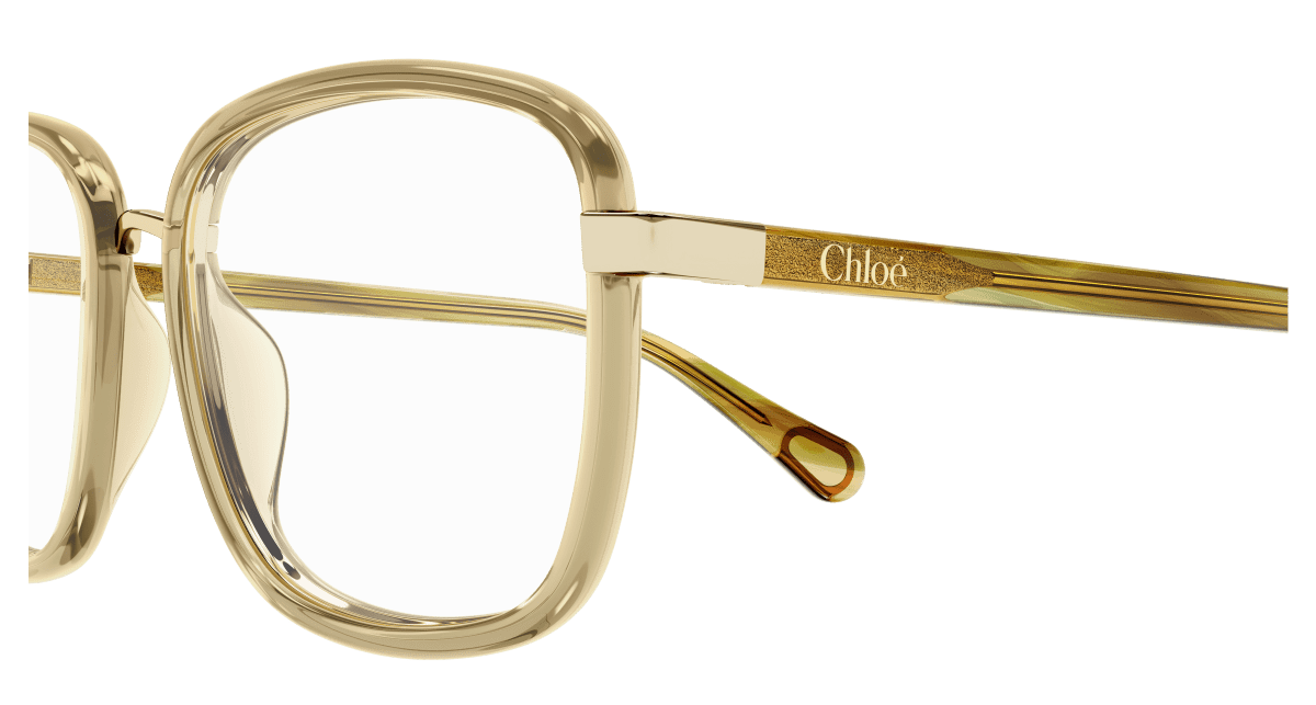 Chloé CC0025O Brown, 49mm 889652543116