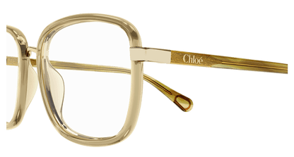Chloé CC0025O Brown, 49mm 889652543116