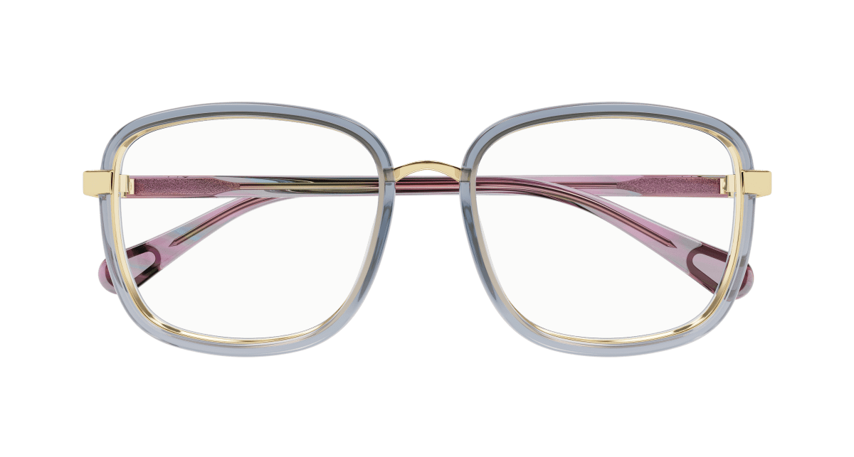 Chloé CC0025O Grey, 49mm 889652543123