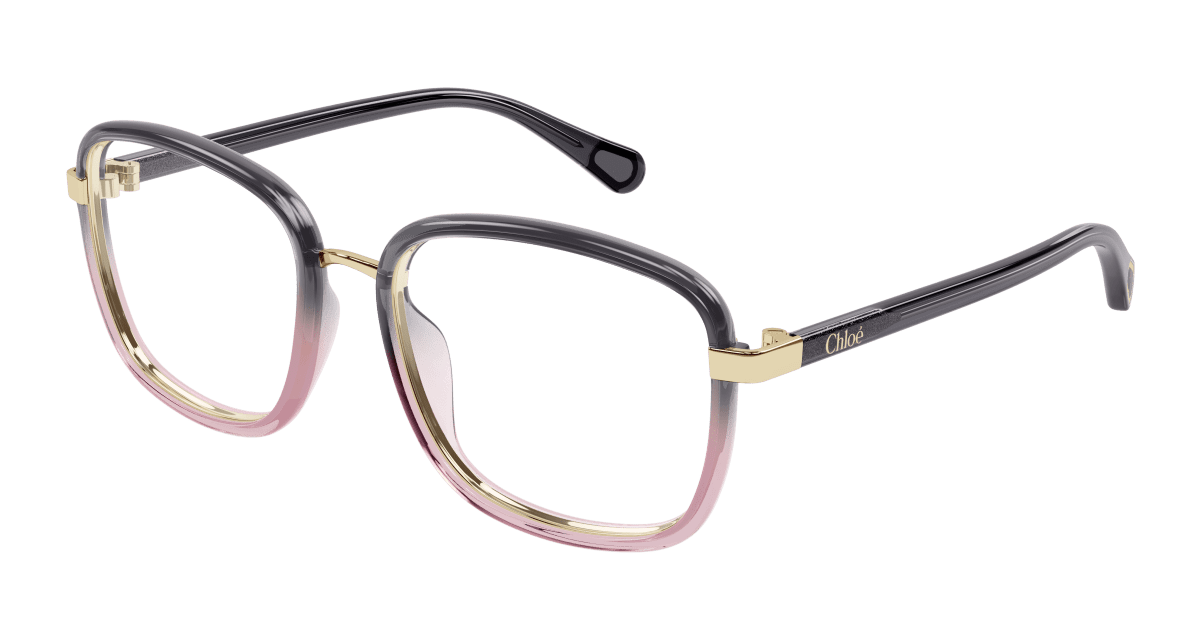 Chloé CC0025O Grey, 49mm 889652543130