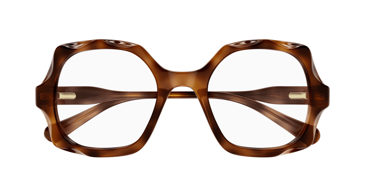 Chloé CC0026O Havana 889652543154