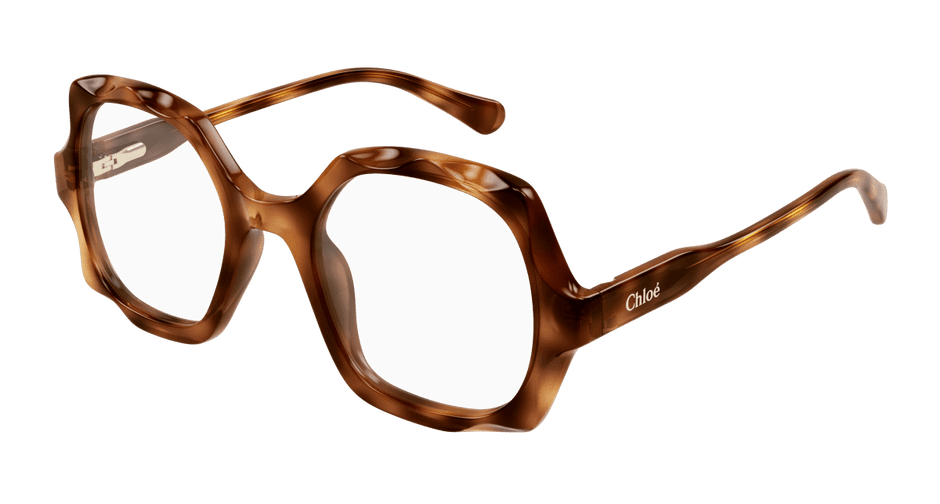 Chloé CC0026O Havana 889652543154
