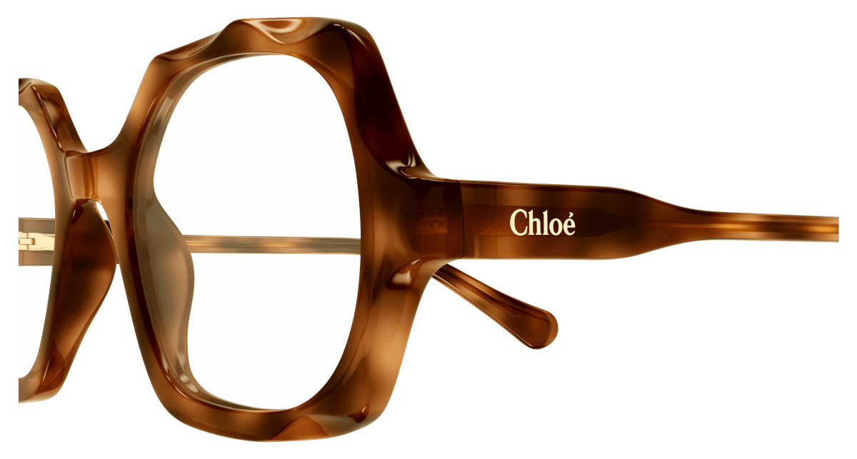 Chloé CC0026O Havana 889652543154