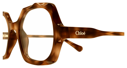 Chloé CC0026O Havana 889652543154