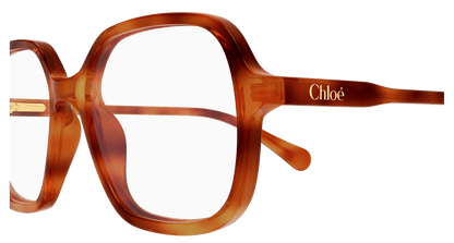 Chloé CC0027O Havana 003 889652645650