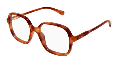 Chloé CC0027O Havana 003 889652645650