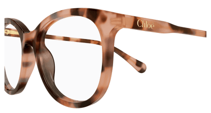 Chloé CC0028O Havana 002 889652645681